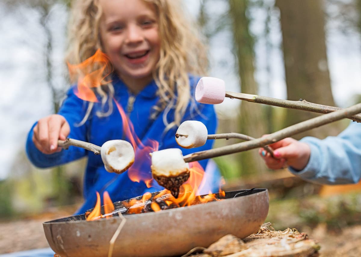 Blackwood Forest Lodges, lodge park near Micheldever, Hampshire