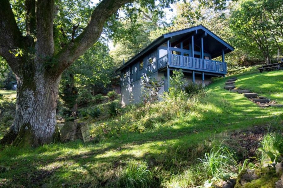 Cedar Chalet 14, chalet near Crieff, Perthshire