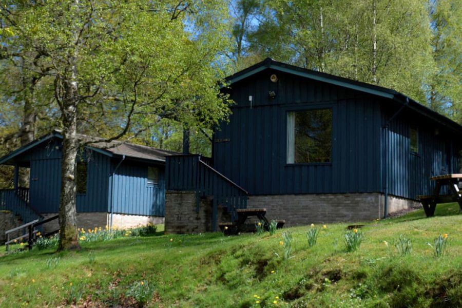 Pine Chalet 23, chalet near Crieff, Perthshire
