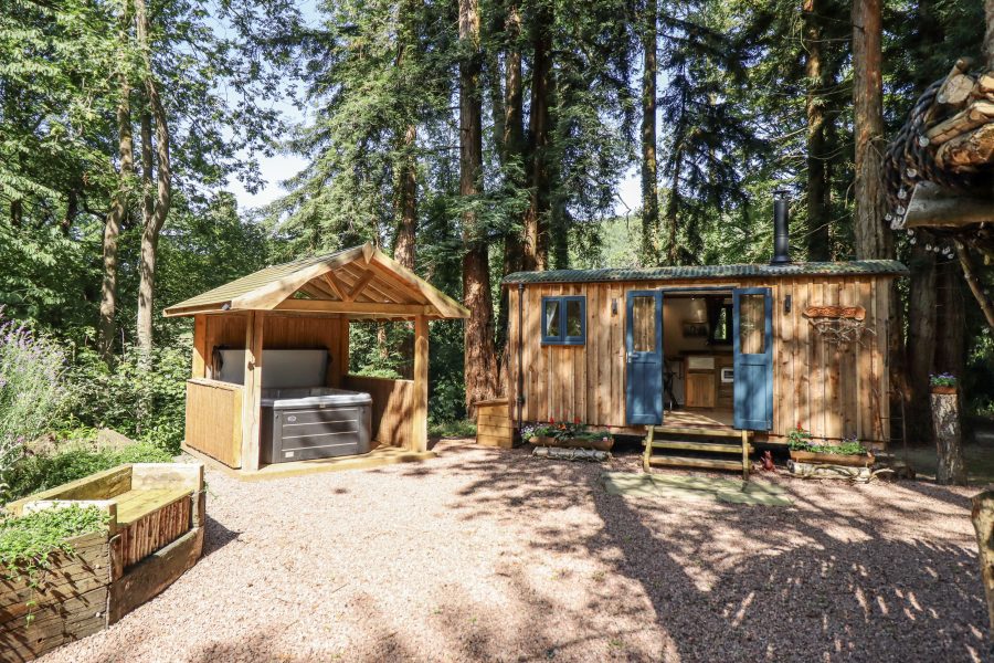 Tanglewood Shepherds Hut, shepherd's hut near Welshpool, Powys
