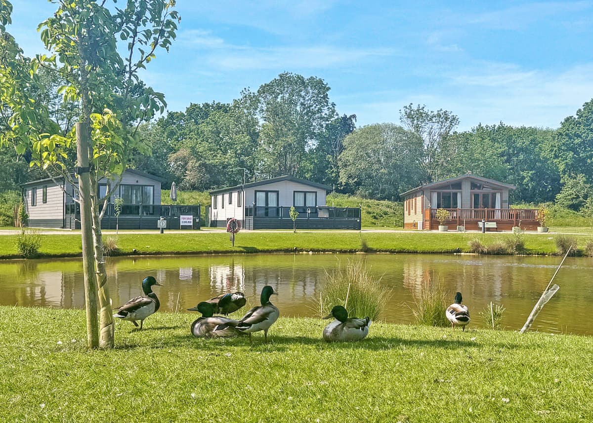 Yaxham Waters, lodge park near Yaxham, Norfolk